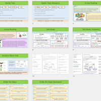 GCSE Biology Topic 7 Food Chains and Trophic Levels Starter Task