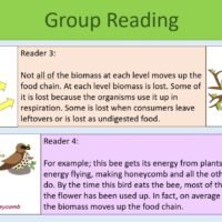 GCSE Biology Topic 7 Pyramids of Biomass Group Reading