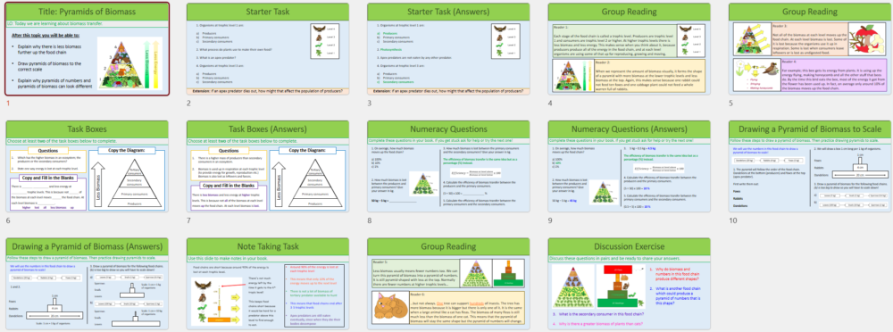 GCSE Biology Topic 7 Pyramids of Biomass Lesson Thumbnails
