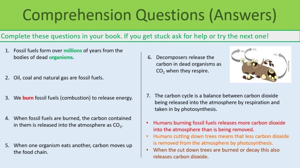 GCSE Biology Topic 7 The Carbon Cycle Comprehension Questions