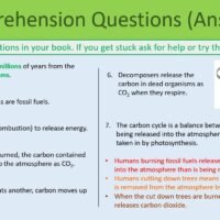 GCSE Biology Topic 7 The Carbon Cycle Comprehension Questions