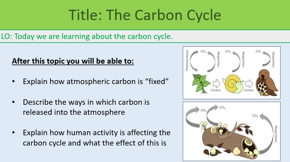 GCSE Biology Topic 7 The Carbon Cycle Learning Objectives