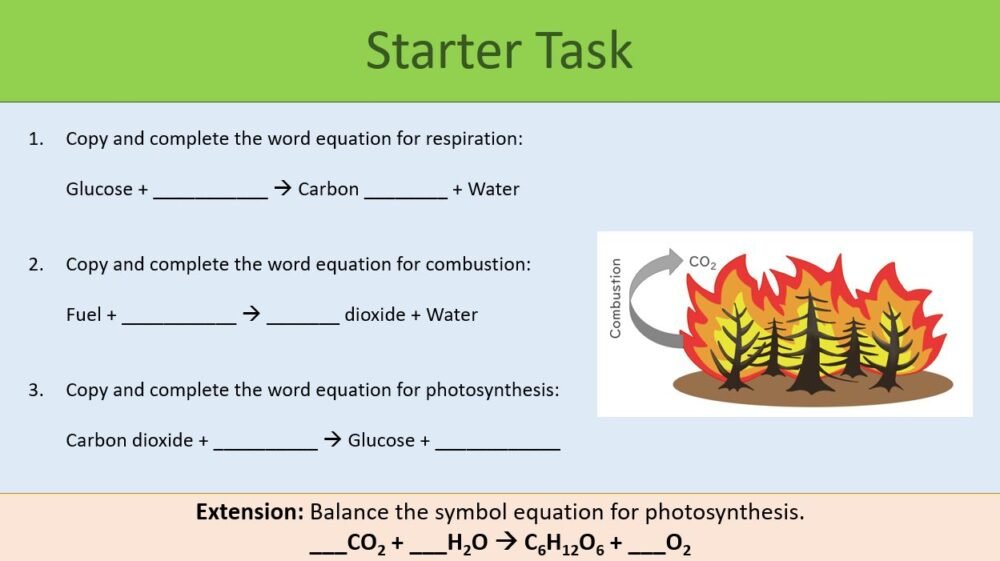The Carbon Cycle Starter
