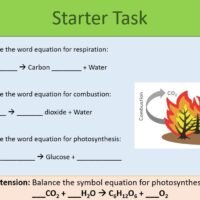 The Carbon Cycle Starter