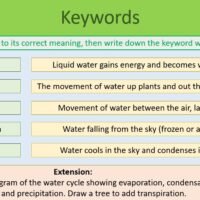GCSE Biology Topic 7 The Water Cycle Keywords