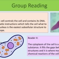 Group Reading Group Reading