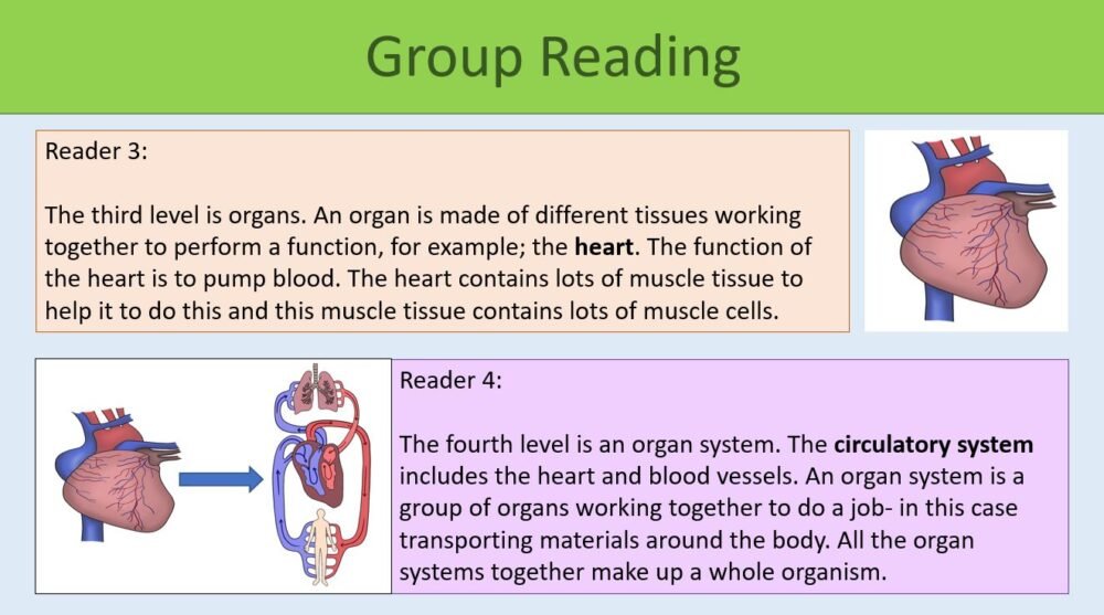 Group Reading Activity