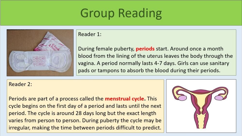 Group Reading Activity