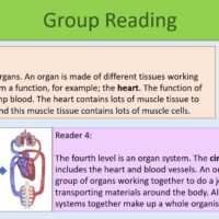 Group Reading Activity