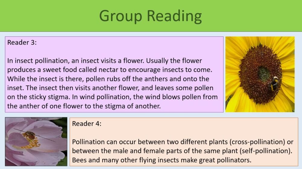 Group Reading Activity