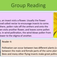 Group Reading Activity