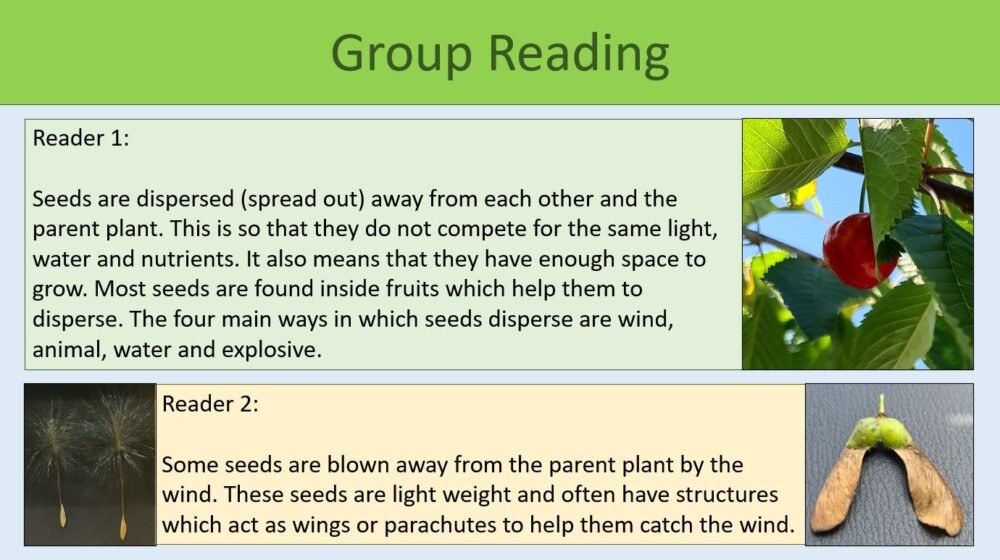 Group Reading Activity