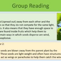 Group Reading Activity