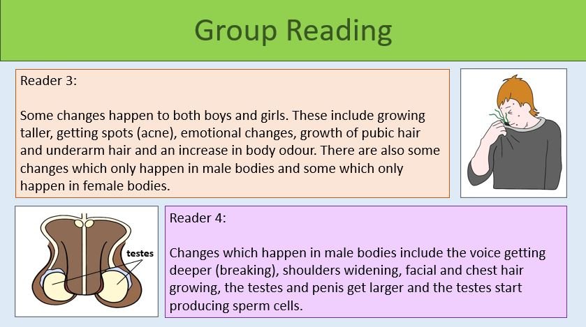 Group Reading Task Group Reading Task