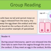 Group Reading Task