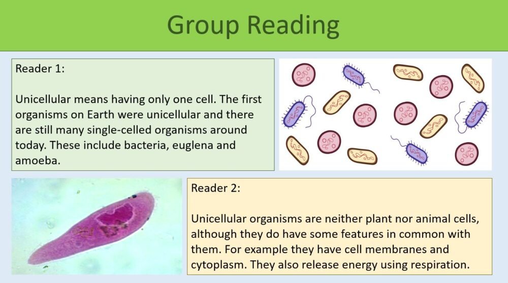 Group reading task