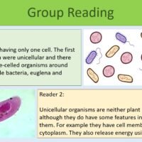 Group reading task