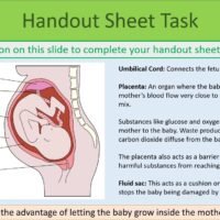 Handout Sheet Task