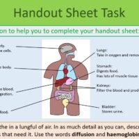 Handout sheet task