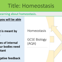 GCSE Biology Topic 5: Homeostasis Lesson Objectives