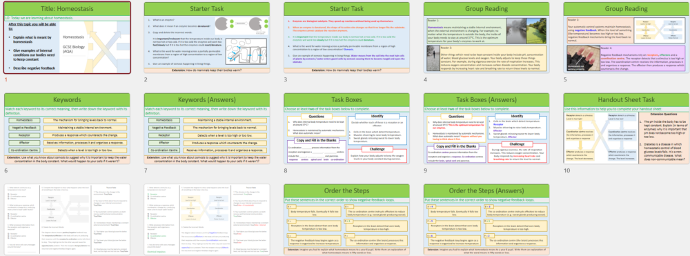 GCSE Biology Topic 5: Homeostasis lesson slide thumbnails