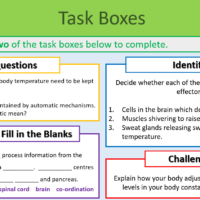 GCSE Biology Topic 5: Homeostasis Task Boxes