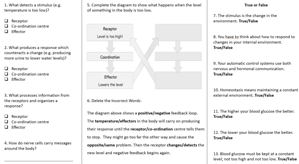 Homeostasis Worksheet