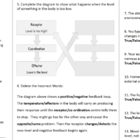 Homeostasis Worksheet