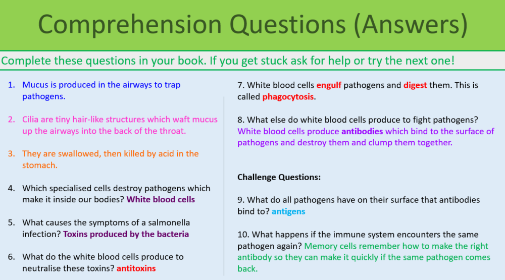 Immune System Comprehension Questions