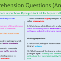 Immune System Comprehension Questions