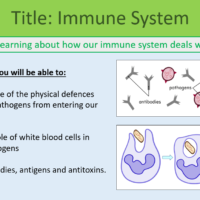 GCSE Biology Topic 3: Immune System Title Slide Lesson Objectives