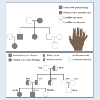 Inherited Disorders Illustration