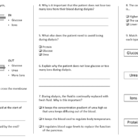 Kidney Failure Worksheet