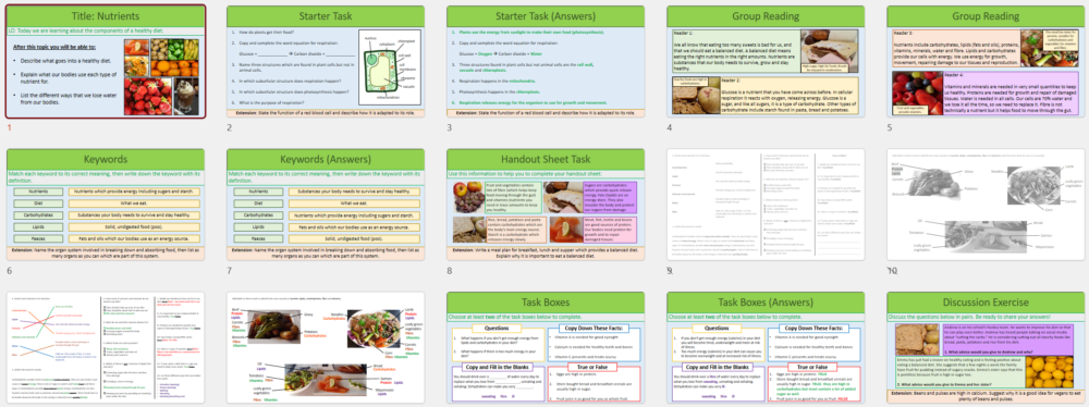 Lesson Slide Thumbnail Images