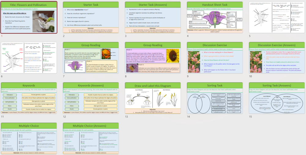 Lesson Slide Thumbnails