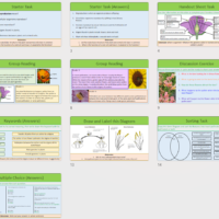 Lesson Slide Thumbnails