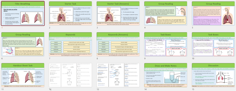 Lesson Slide Thumbnails
