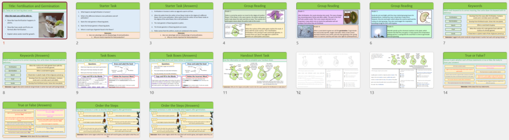 Lesson Slide Thumbnails