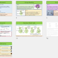 Lesson Slide Thumbnails