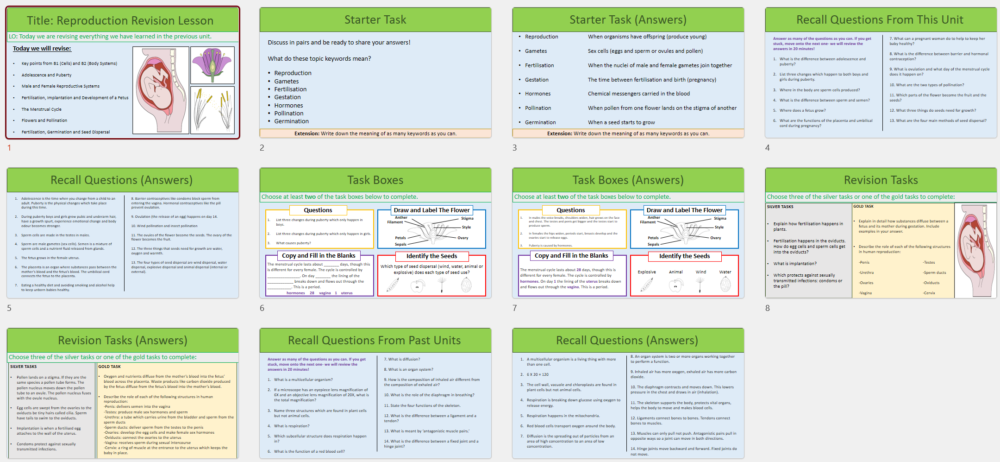 Lesson Slide Thumbnails
