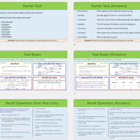 Lesson Slide Thumbnails