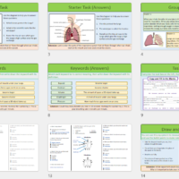 Lesson Slide Thumbnails
