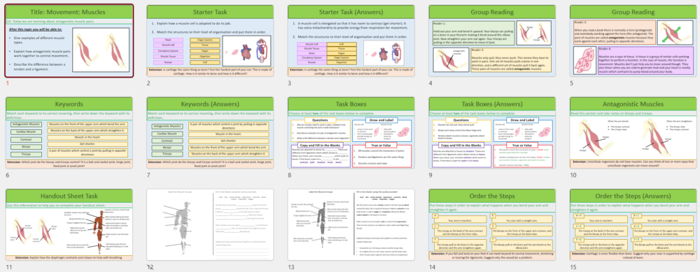 Lesson Slide Thumbnails Lesson Slide Thumbnails