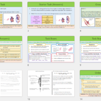 Lesson Slide Thumbnails