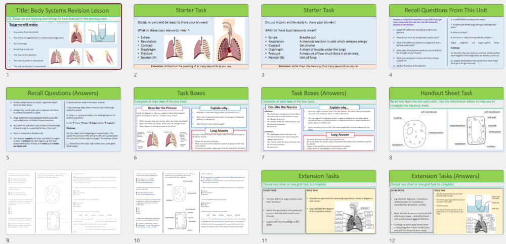 Lesson Slide Thumbnails
