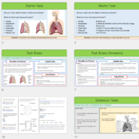 Lesson Slide Thumbnails
