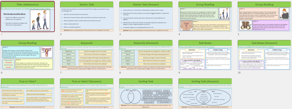 Lesson Slide Thumbnails Lesson Slide Thumbnails