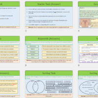 Lesson Slide Thumbnails