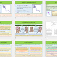 Lesson Slide Thumbnails