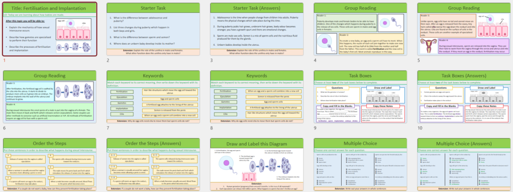 Lesson Slide Thumbnails